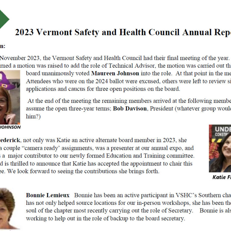 VSHC-Annual-Report-Preview